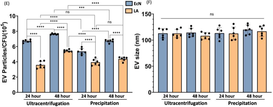 Bar charts comparing EV yield per CFU and mean particle diameter for Lactobacillus acidophilus and Escherichia coli Nissle 1917 EVs isolated by ultracentrifugation versus precipitation methods.